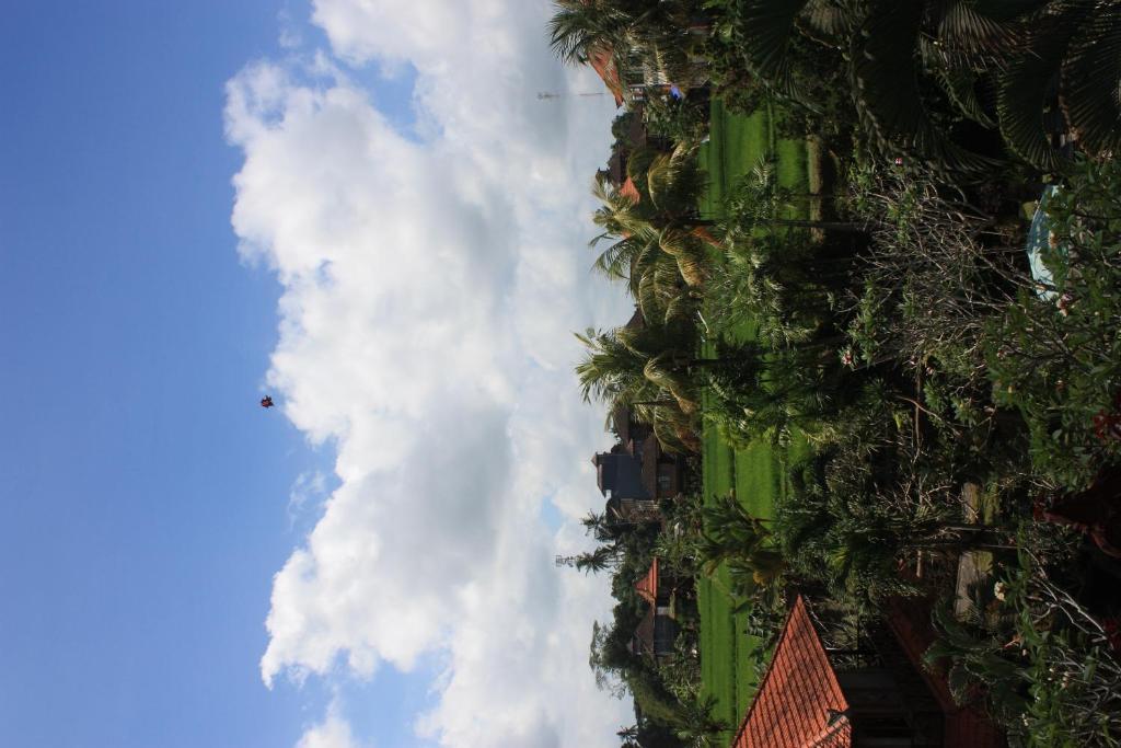 Raditia Homestay photo