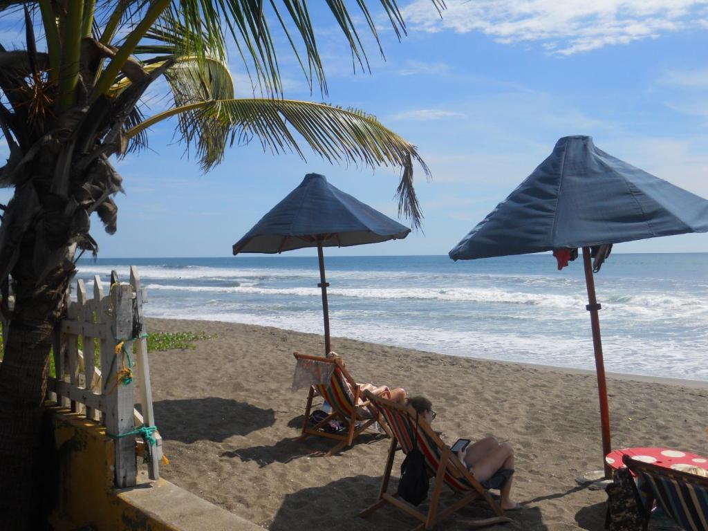 Beach Hostal Oasis photo