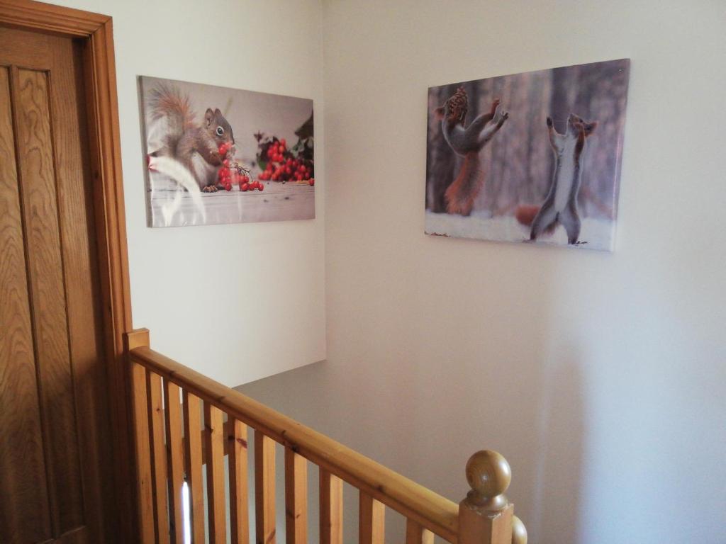 Nice Rooms in Queen House photo