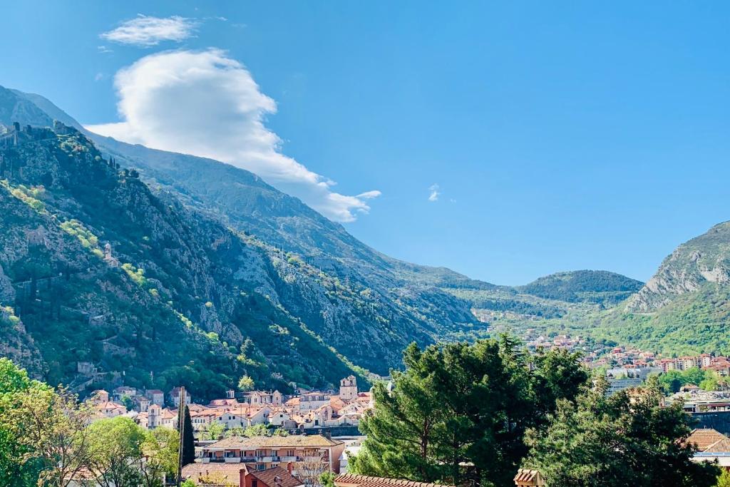 Loki Apartments — Hotel in Kotor