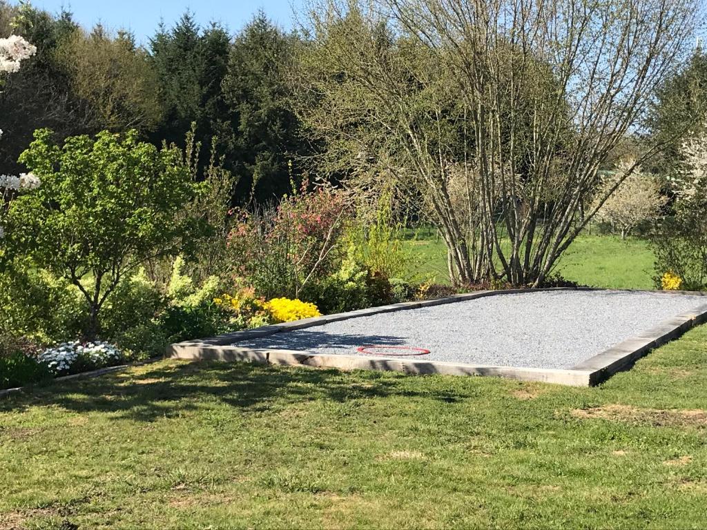 スポーツ/アクティビティ