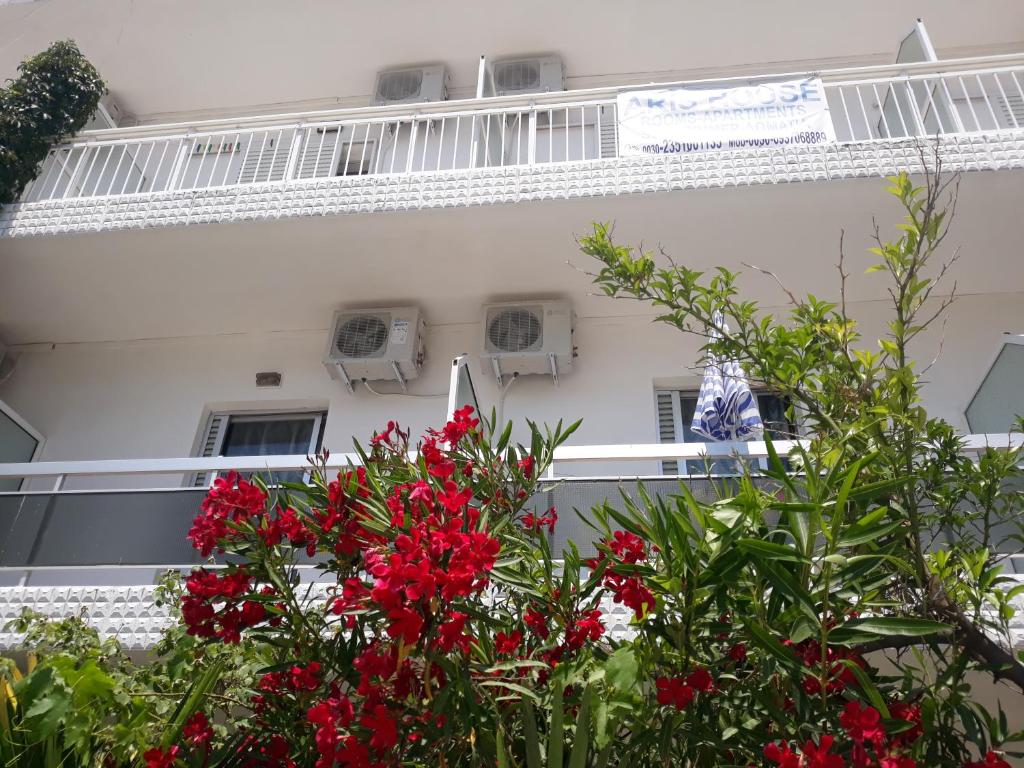 Aris House photo