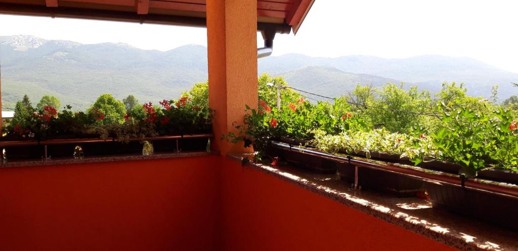 Rooms Sapina photo