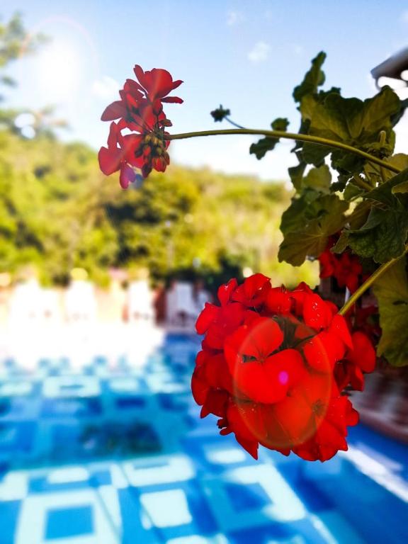Casa Campestre Las Nieves - 3