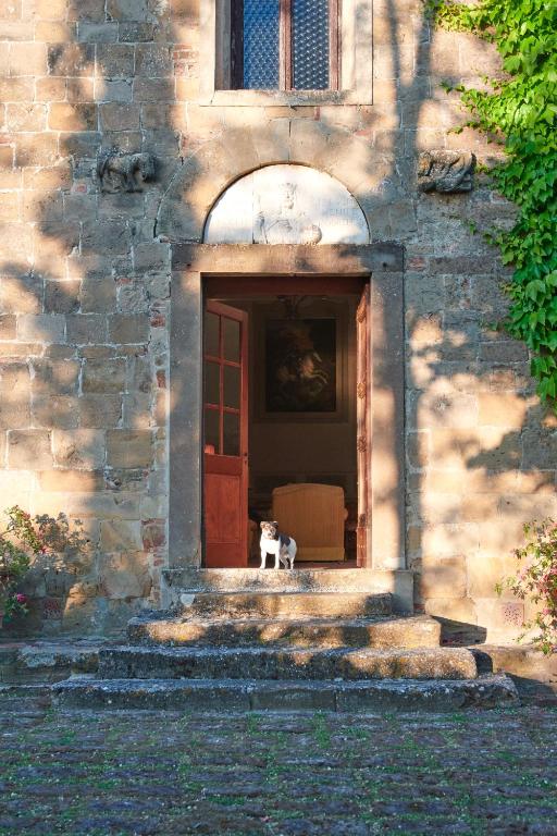 Santa Maria a Poneta photo