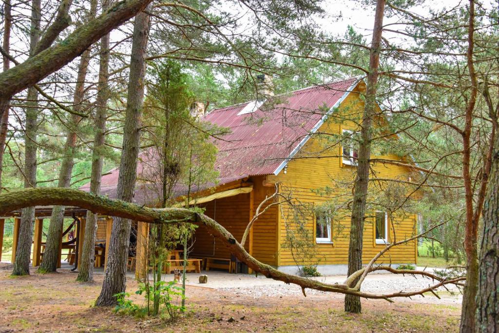 Kempings Videnieki — Hotel in Liepene