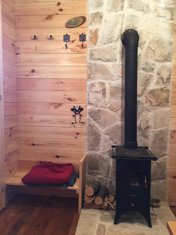 Cozy Cabin - 2