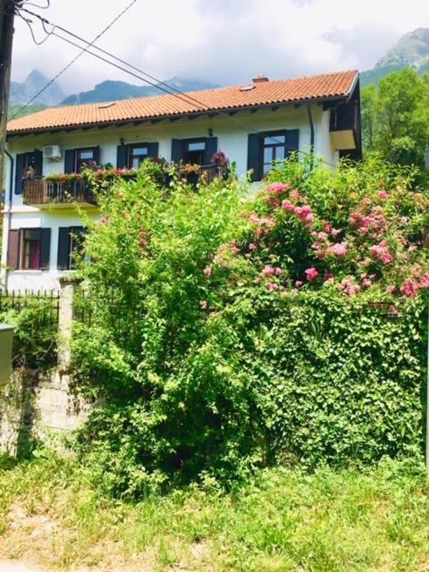 Apartmaji Jana photo