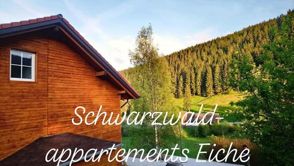 Black Forest Apartements by Hotel Gruner Baum Feldberg — Hotel in Feldberg ( Baden Wuerttemberg )