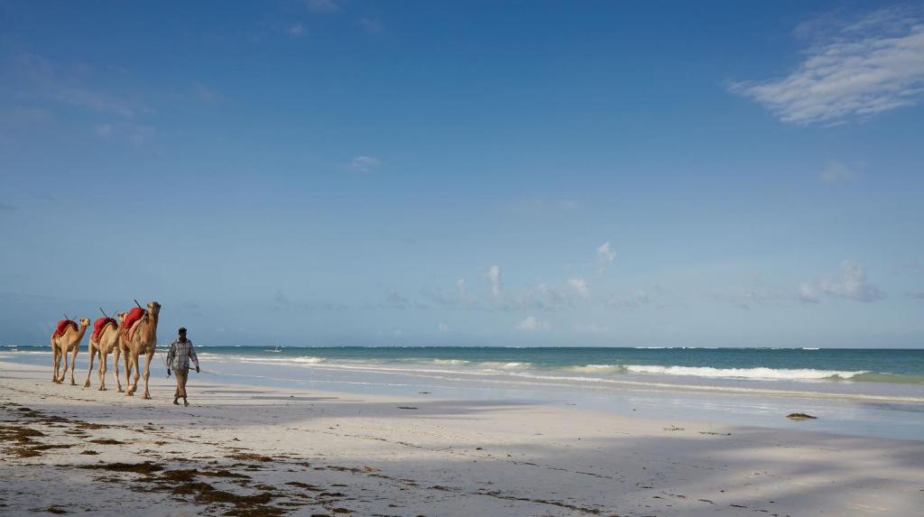 Mombasa Neptune Village Beach Resort & Spa - All Inclusive Additional