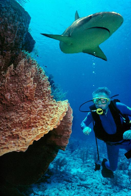 Sport és szabadidő