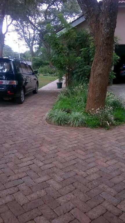 Tinotenda Cottage photo