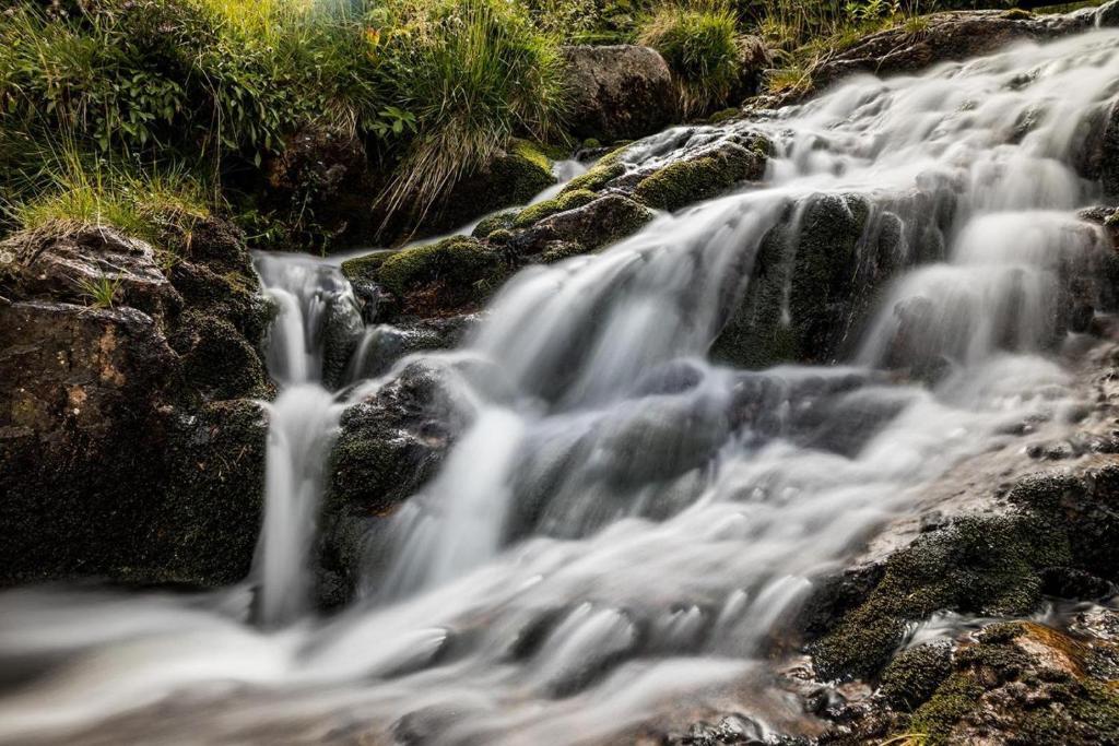 Surrounding environment