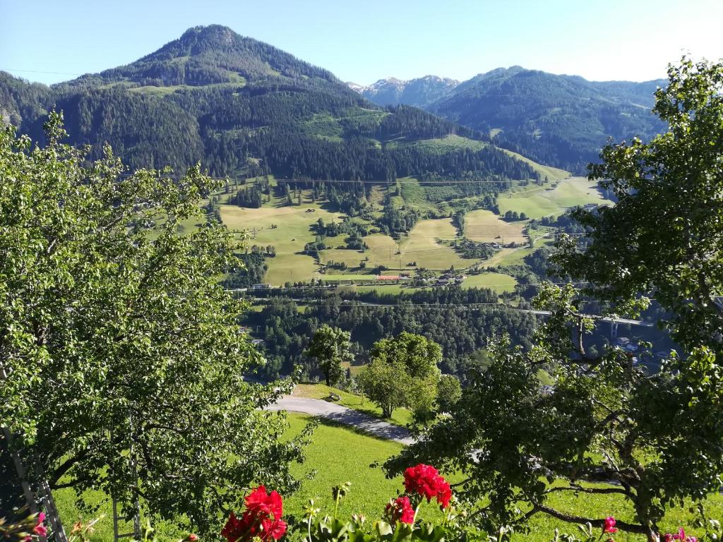Biobergbauernhof Bergzeit Apartment in Goldegg - 1