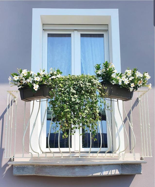 Romantic Home - 2