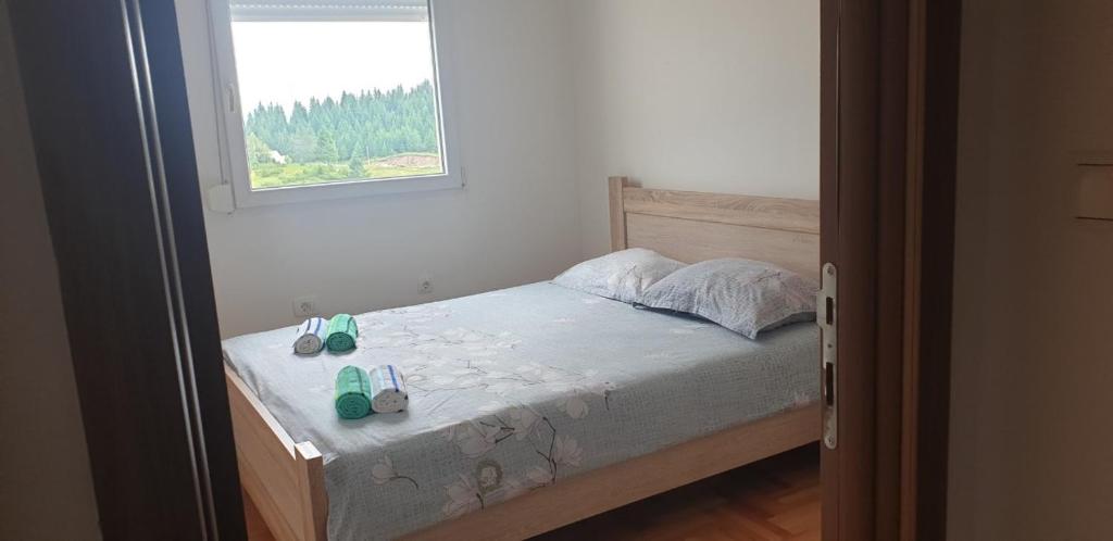 Zazaa apartment - 2