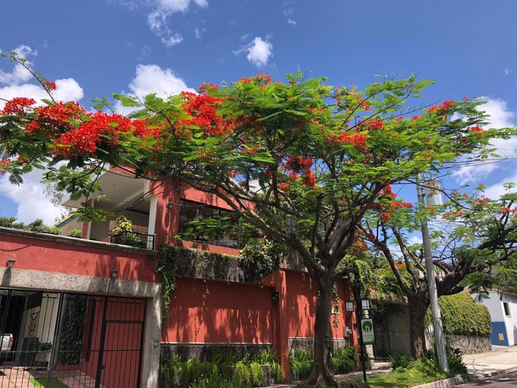 Hotel Arbol de Fuego — Hotel in San Salvador