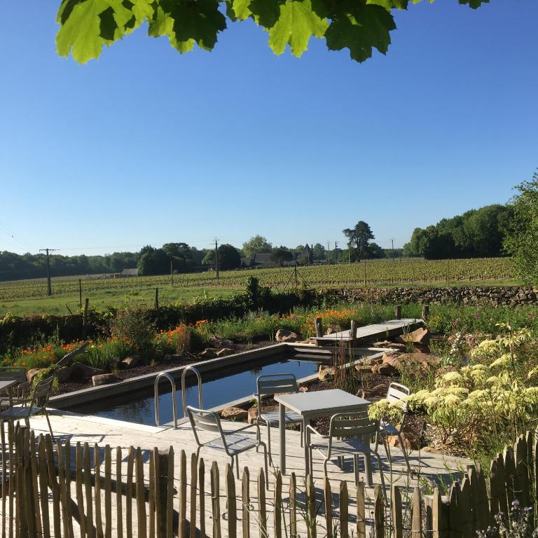 スイミングプール