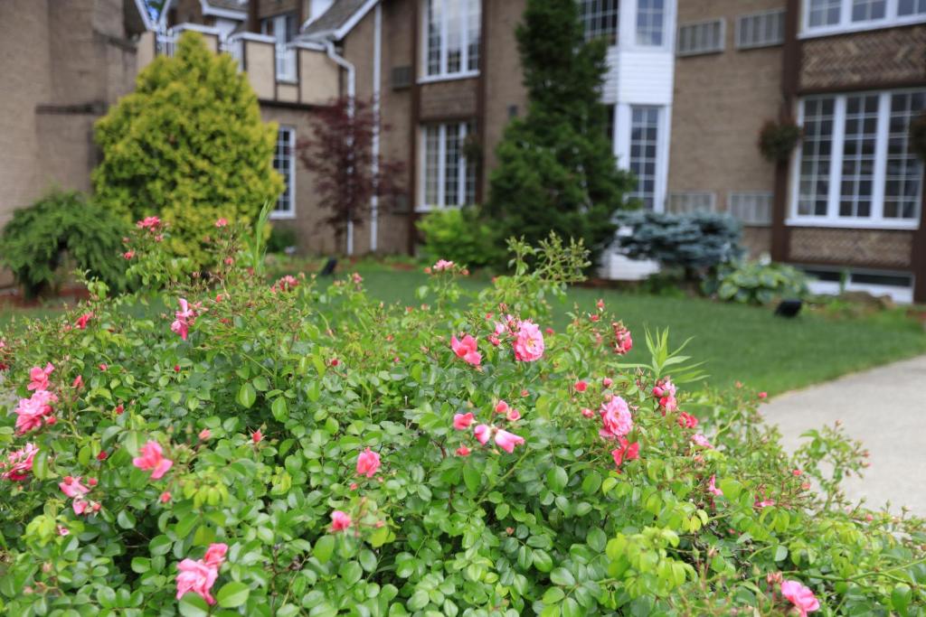 Fullerton Manor Inn photo
