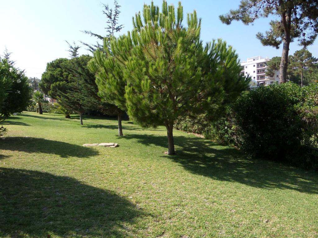 Aldeia Da Falesia — Sports & recreation in Albufeira, Faro