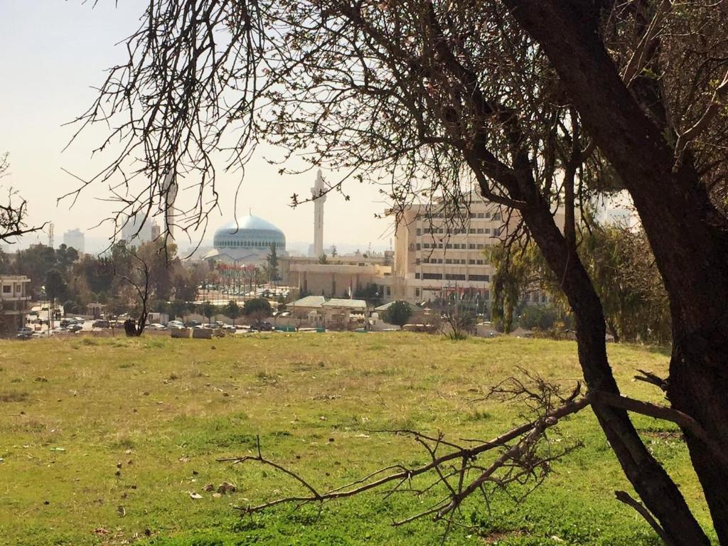 الأنشطة
