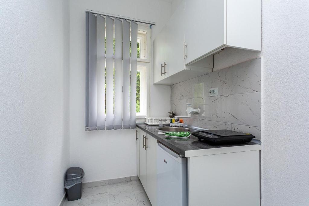 Vila Ćirković - U centru Sokobanje - 3