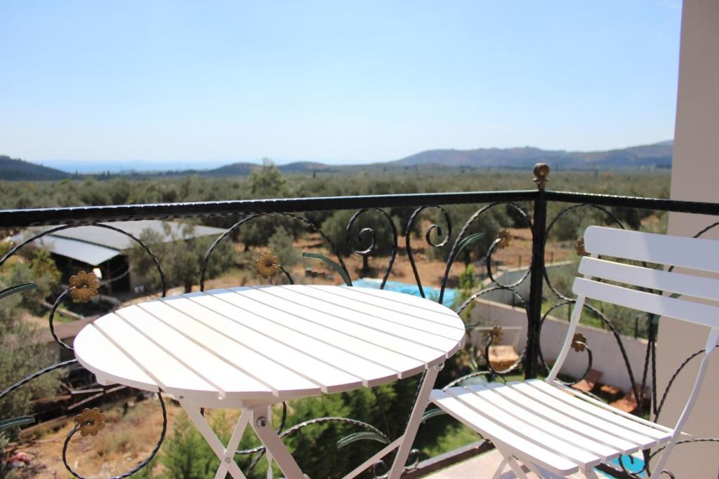 Surrounding environment