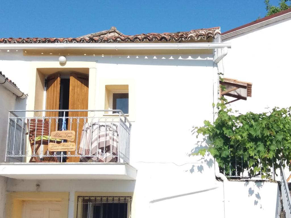 Elm Tree Dream Catcher, Strinýlas