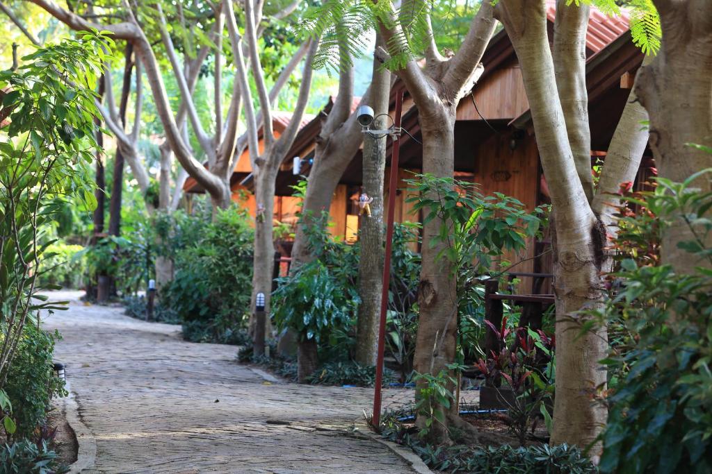 Surrounding environment