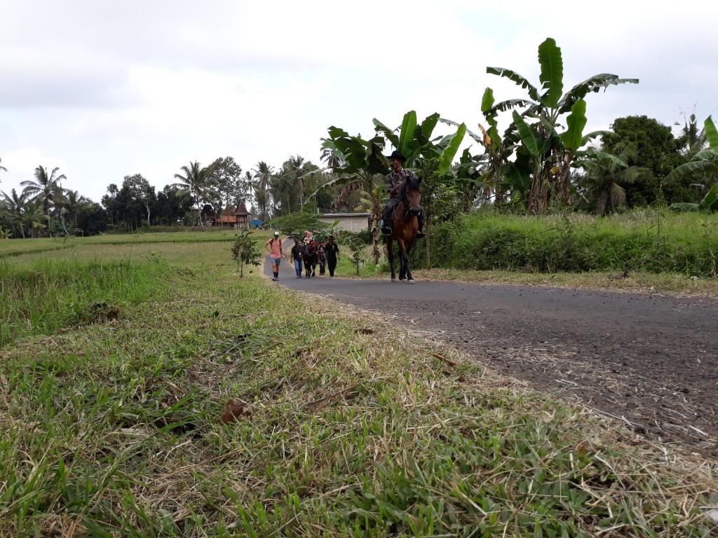 Surrounding environment
