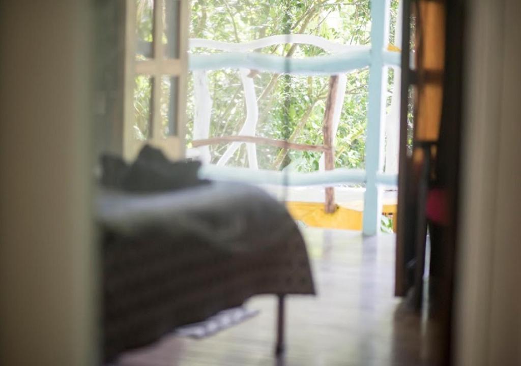 Madre Selva Hostel photo