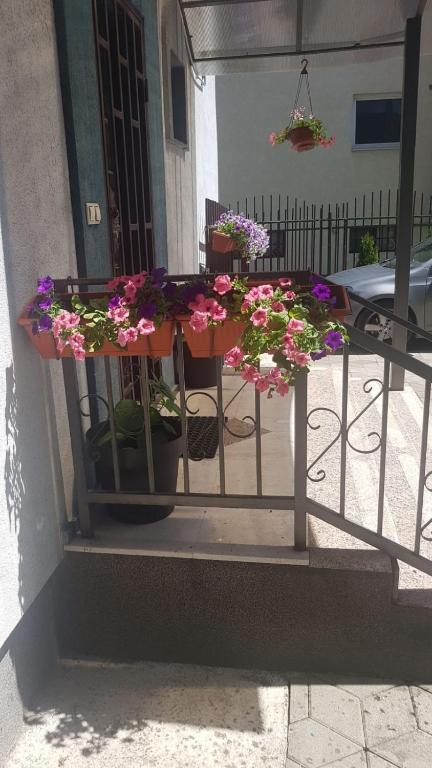 Sun Garden Sarajevo photo