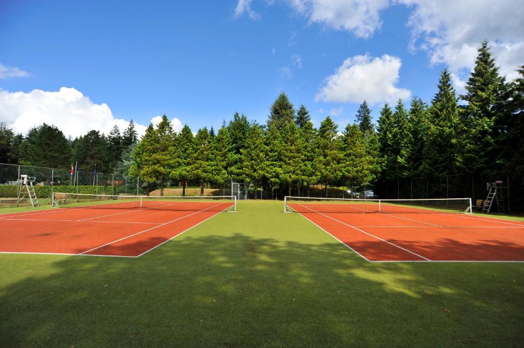 Princess Hotel Victoria Photo 18