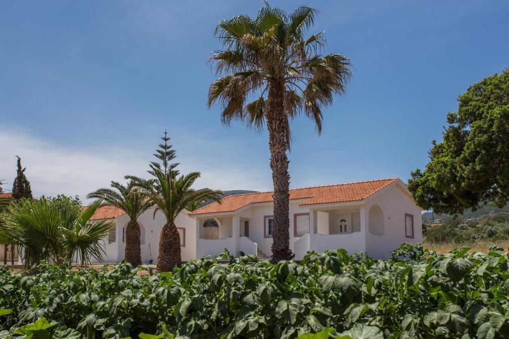 Ambelakia Studios photo