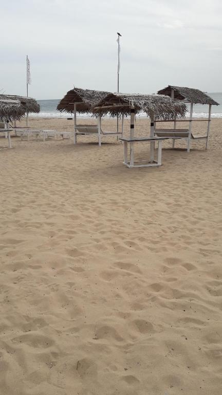 Surf reef beach photo