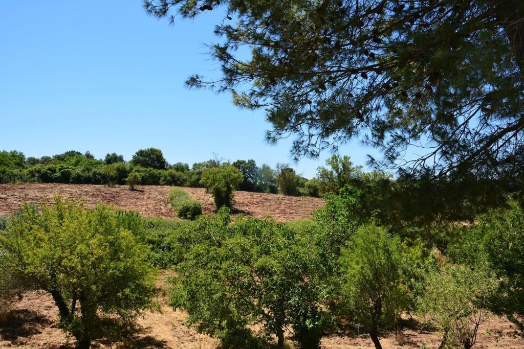 Trullo Alfredo - 2