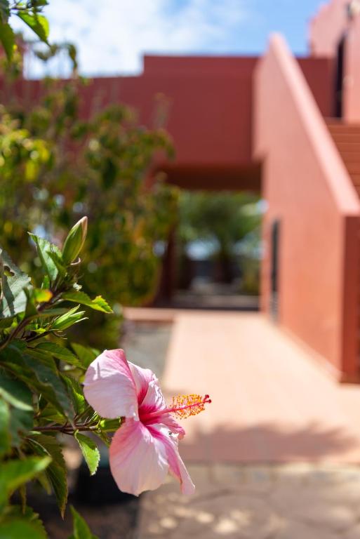 Blu Gardenia - 4
