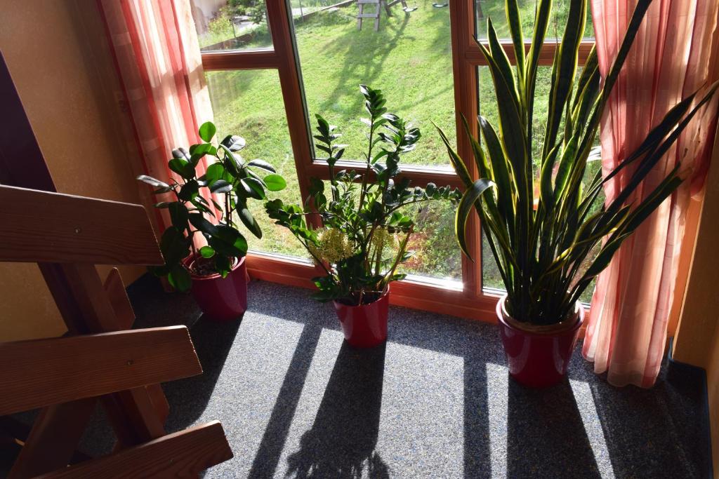 Pension Appartement Ambrosi - 4