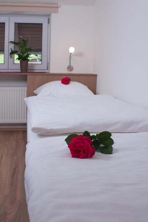 Holbinger Alm - Apartments photo