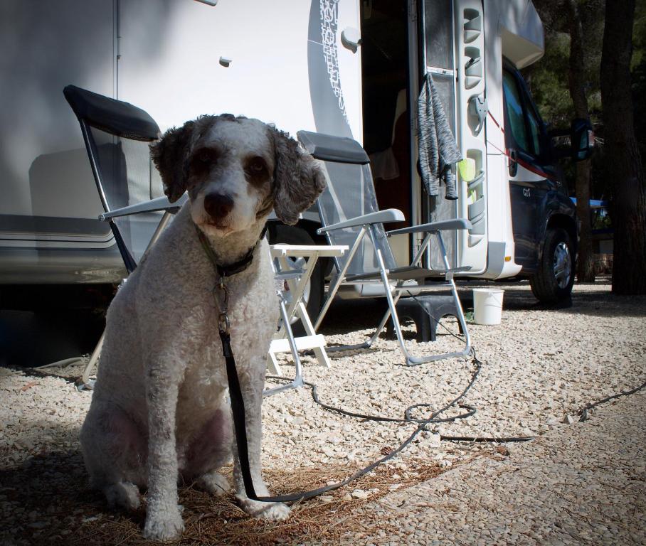 Camping Moraira - 2
