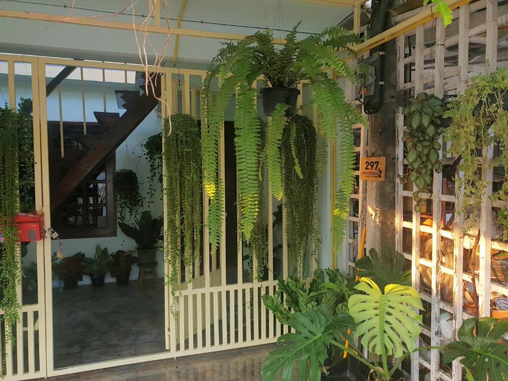 297 Nature Residence photo