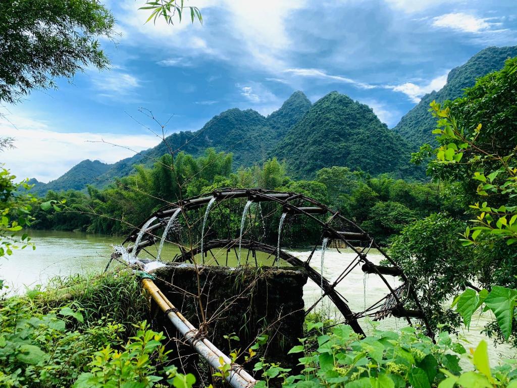 5. 담 투이의 프라..