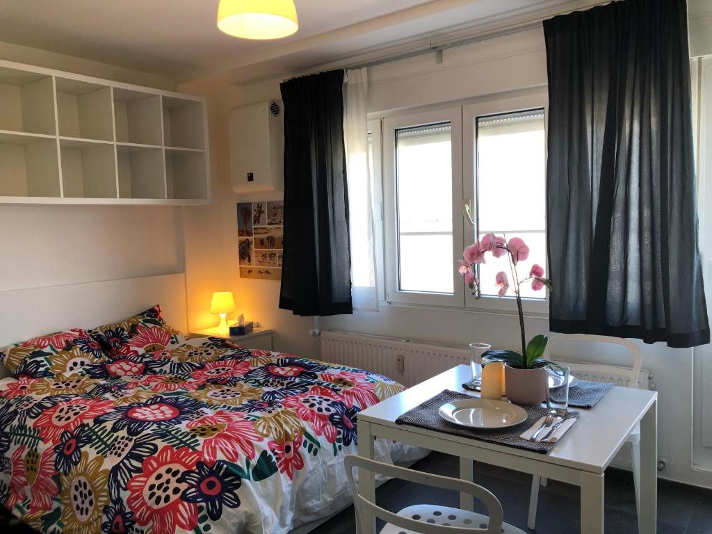 Studio with rooftop terrace photo