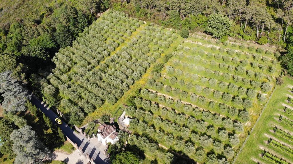 アルベルゴ ヴィラ マルタ ホテル - img