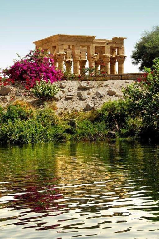 Villa Misk photo