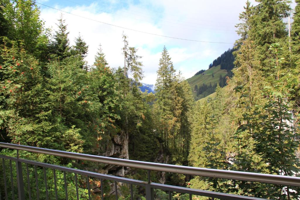 Griesalp Hotels photo