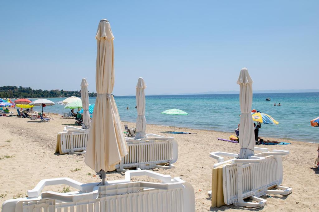 Alexger Beach Front Deluxe house photo