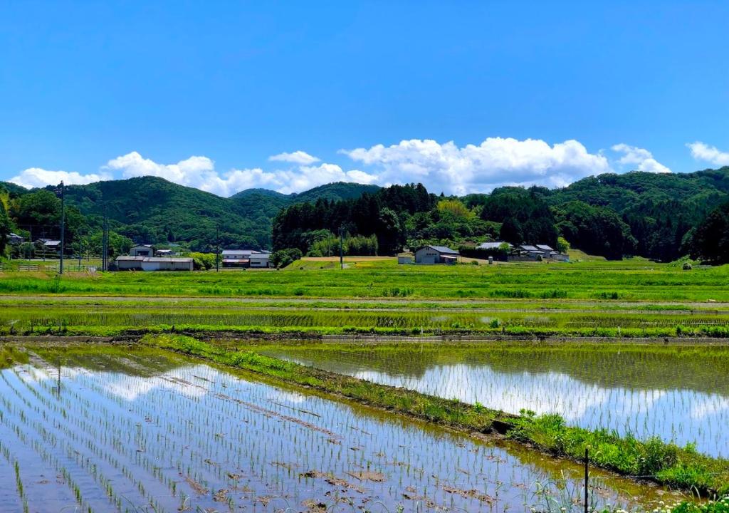 Surrounding environment