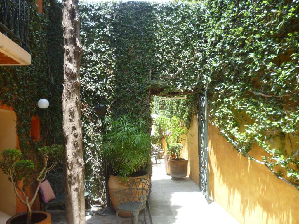 Hotel Casa Pereyra - 4