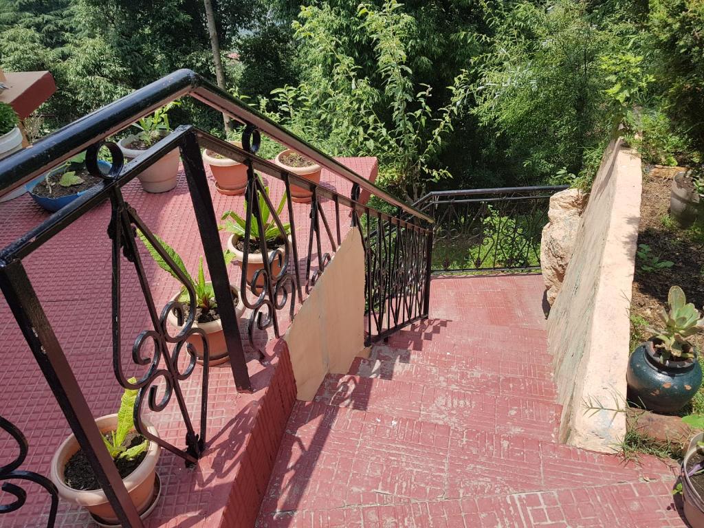Aditya Homestay Dalhousie photo